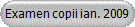 Examen copii ian. 2009