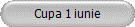 Cupa 1 iunie